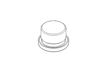 Verschlussschraube VS-R 3/4-WD