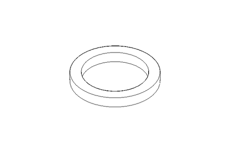 Уплотнительное кольцо G DN25 FPM