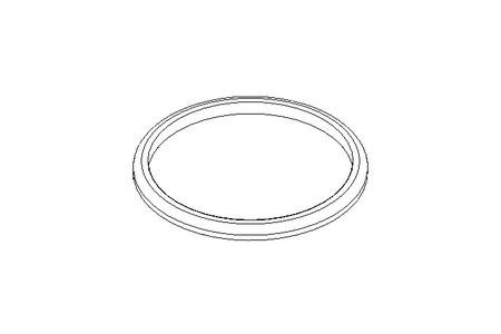 Уплотнительное кольцо G DN65 FPM