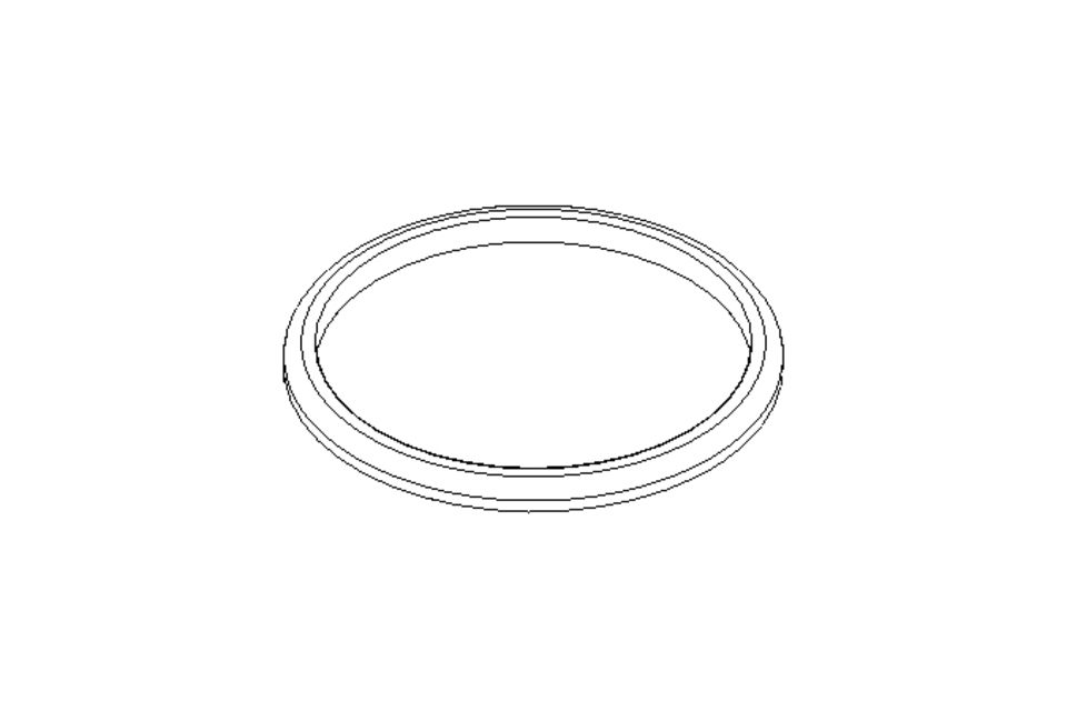 Sealing ring G DN65 FPM DIN11851