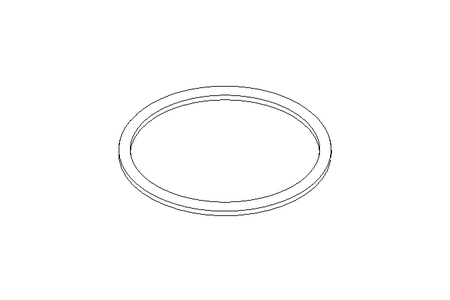 SEALING RING G 80 FPM  DIN 11851