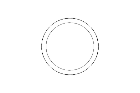 Sealing ring G DN50 FPM DIN11851