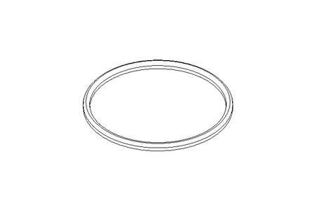 Sealing ring G DN125 FPM DIN11851