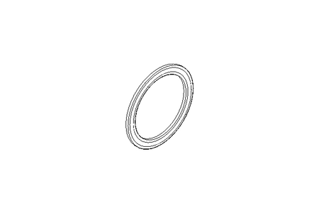 SEAL RING FOR CLAMP FERULE