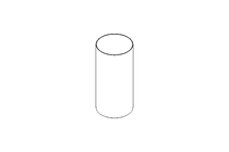 FILTER ELEMENT 0.25MM 1.4404 NW 80