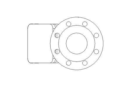 Filtro em Y com flanges PN16 DN 80 GG25