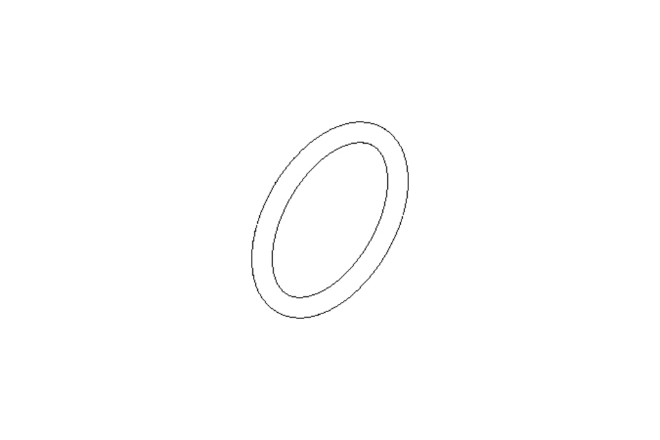 O-Ring 22x2,5 NBR