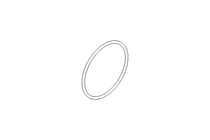 O-ring 60x2.5 FPM