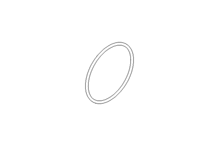 Anel de vedação O-Ring 60x2,5 FPM