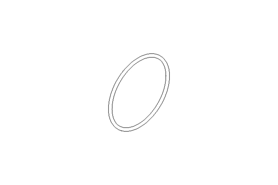 O-ring 60x2.5 FPM