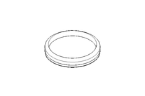 Anello V-ring 110S 99x7 NBR