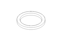 Sealing ring 17.1x21.8x2 PVC-P