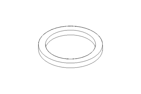 Sealing ring 17.1x21.8x2 PVC-P