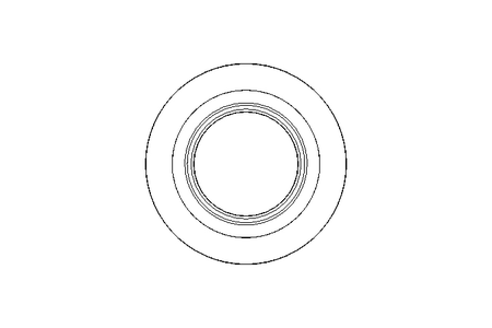 Anello di tenuta Glyd Ring PT 24,5x32
