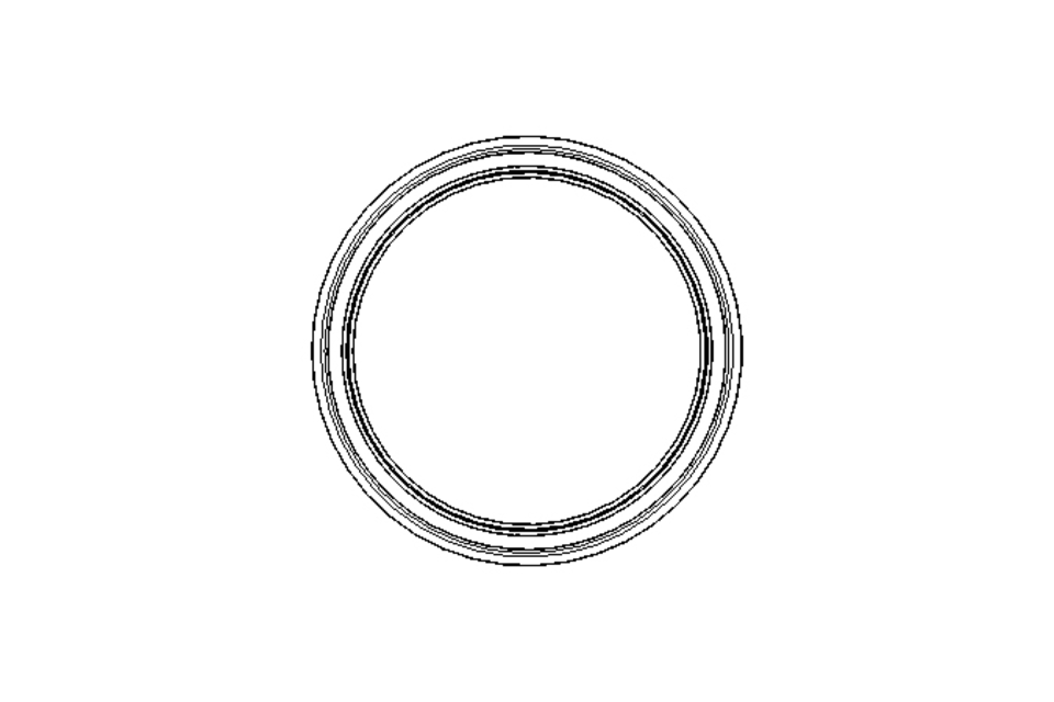 Sealing ring PVM 19.5x24x3.6 PTFE