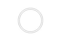 Anello di tenuta Glyd Ring RG 10x13,9x2