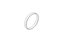 Anello di tenuta Glyd Ring PG 19x25x2,85