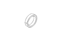 TURCON-RING   BS50703-0250A-10