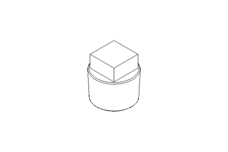 Tampão R1/2" Niro V4A