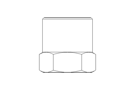 Bouchon R3/8" 1.4571