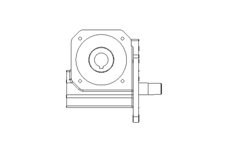 Worm Gear