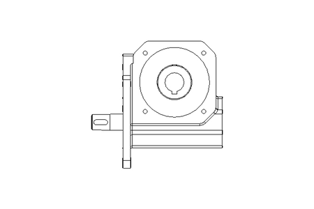 Worm Gear