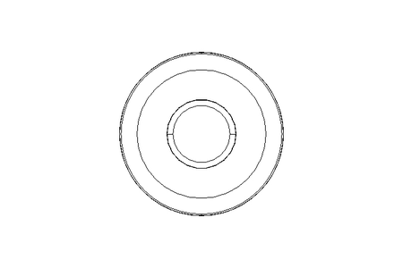 Kurvenrolle KR 19 PPX