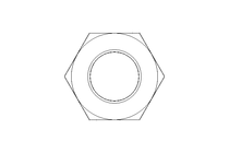 Tuerca hexagonal M22 A2 DIN439