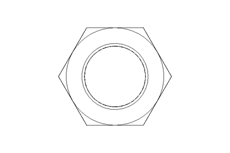 Hexagon nut M24x1.5 A4 DIN934