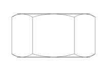 Hexagon nut LH M12 St-Zn DIN934