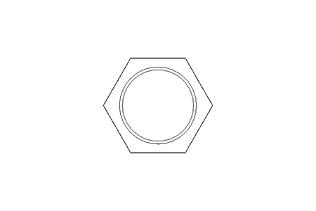 DADO ESAGONALE    M 22X1.5  A2