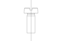 Cap screw M4x10 ISO1207