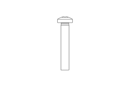 Fillister head screw M5x30 A2 ISO7045