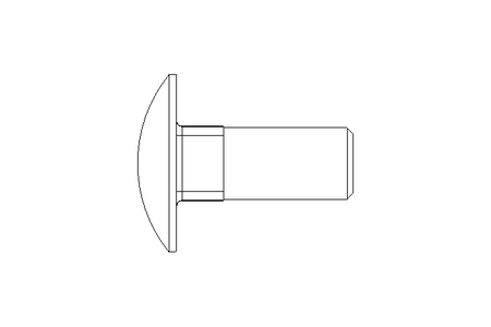 Round head screw M12x30 DIN603