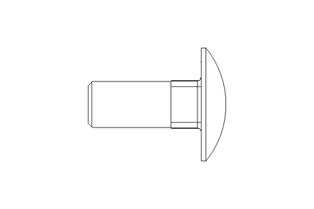 Vis à tête bombée M12x30 DIN603