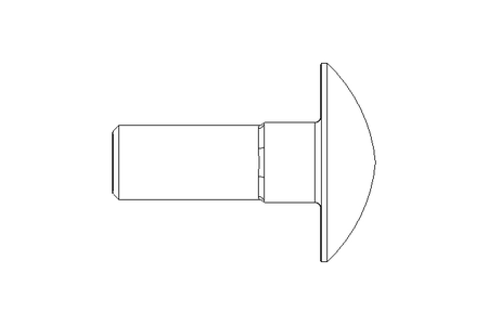 Pf cb oval r/q M6x16 A2 DIN603