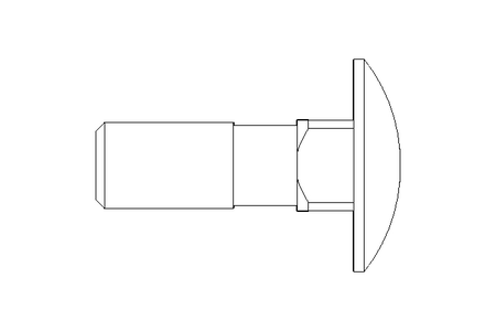 Round head screw M10x30 DIN603