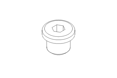 BOUCHON    M10X1    MS DIN 908