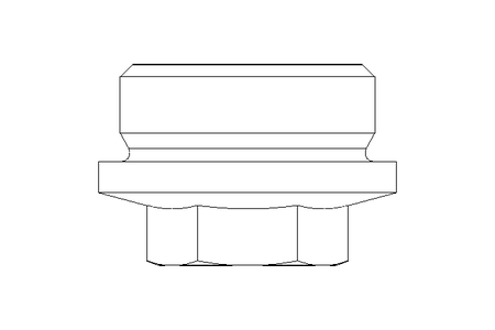 SCREW PLUG R1 1/4"  A2 DIN 910