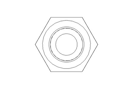 Hexagon screw M6x55 A2 70 ISO4014