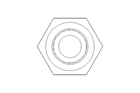 Vite a testa esagonale M10x115 A2 70