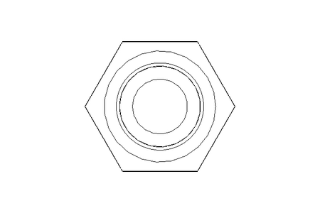 Hexagon screw M5x30 A2 70 ISO4017