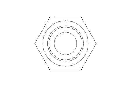 Hexagon screw M5x45 A2 70 ISO4017