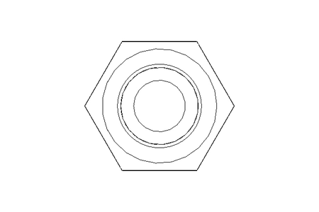 Hexagon screw M6x70 A2 70 ISO4017