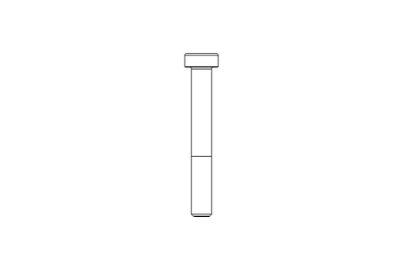 Tornillo de cab.cilínd. M6x45 A2 70