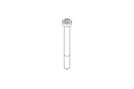 Zyl-Schraube M6x60 A2 70 DIN6912