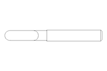 EYELET BOLT         M 4X 20-ST