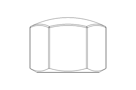 Hexagon cap nut M16 A2 DIN917