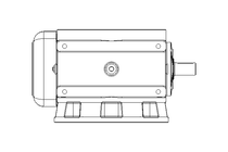 Worm Gear