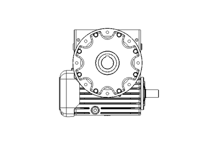 Worm Gear